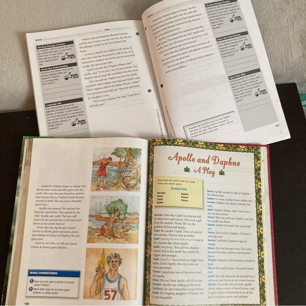 Advanced ESL learning set - Picture 9 of 12